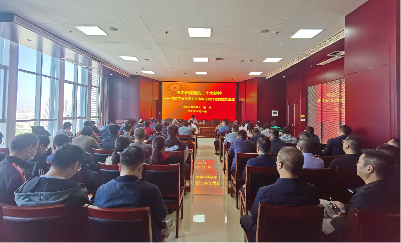 紧跟核心强忠诚 在深学细悟中坚定信仰信念 ——hth官方网页版-hth（中国）负责人汪洋同志为全体党员讲授主题教育专题党课